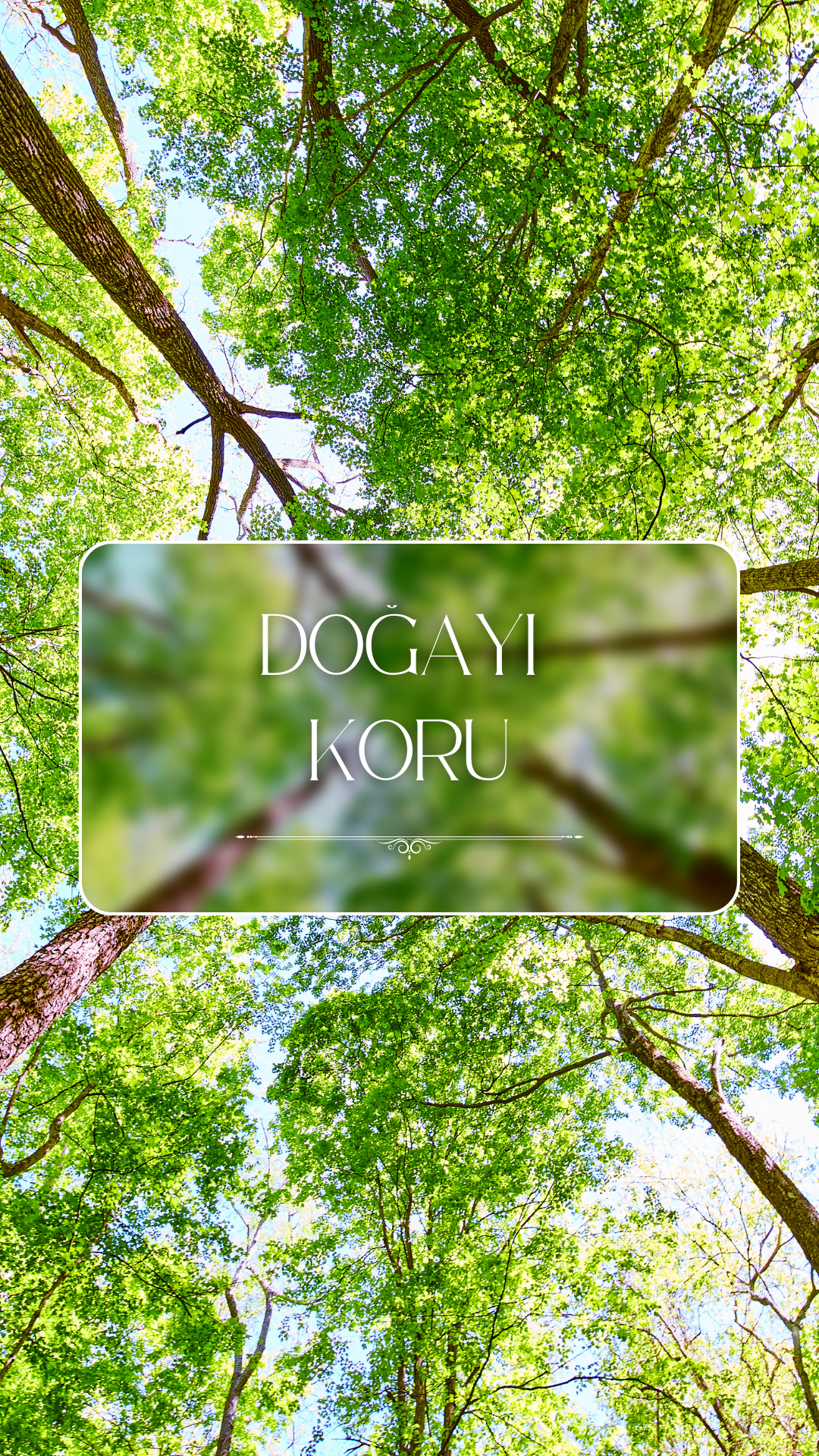 Doğamızı Nasıl Koruruz